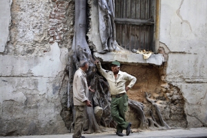 Two men chat beside tree growing inside wall in Havana